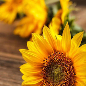 Meet your Posher, Briana